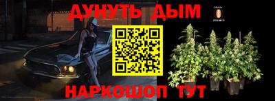 jwh Ставрополь