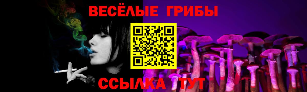 Североморск  Галлюциногенные грибы ЛСД  дарнет шоп  Вход с VPN 